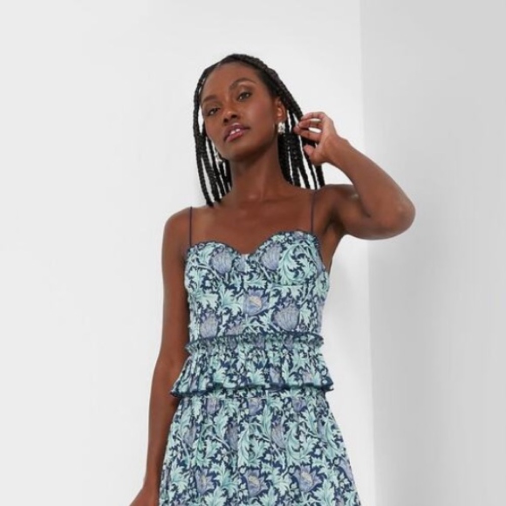 Tuckernuck HYACINTH HOUSE Blue Floral Dylan Bustier Cami Top XXL